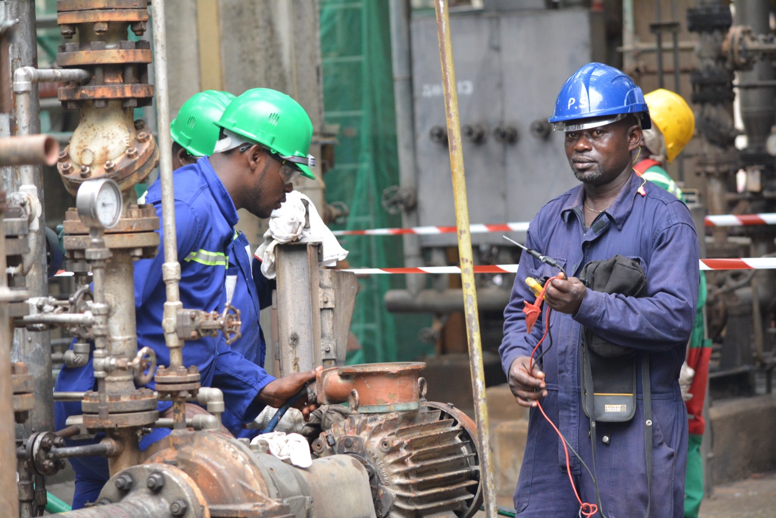 Auditor reviewing plant documentation